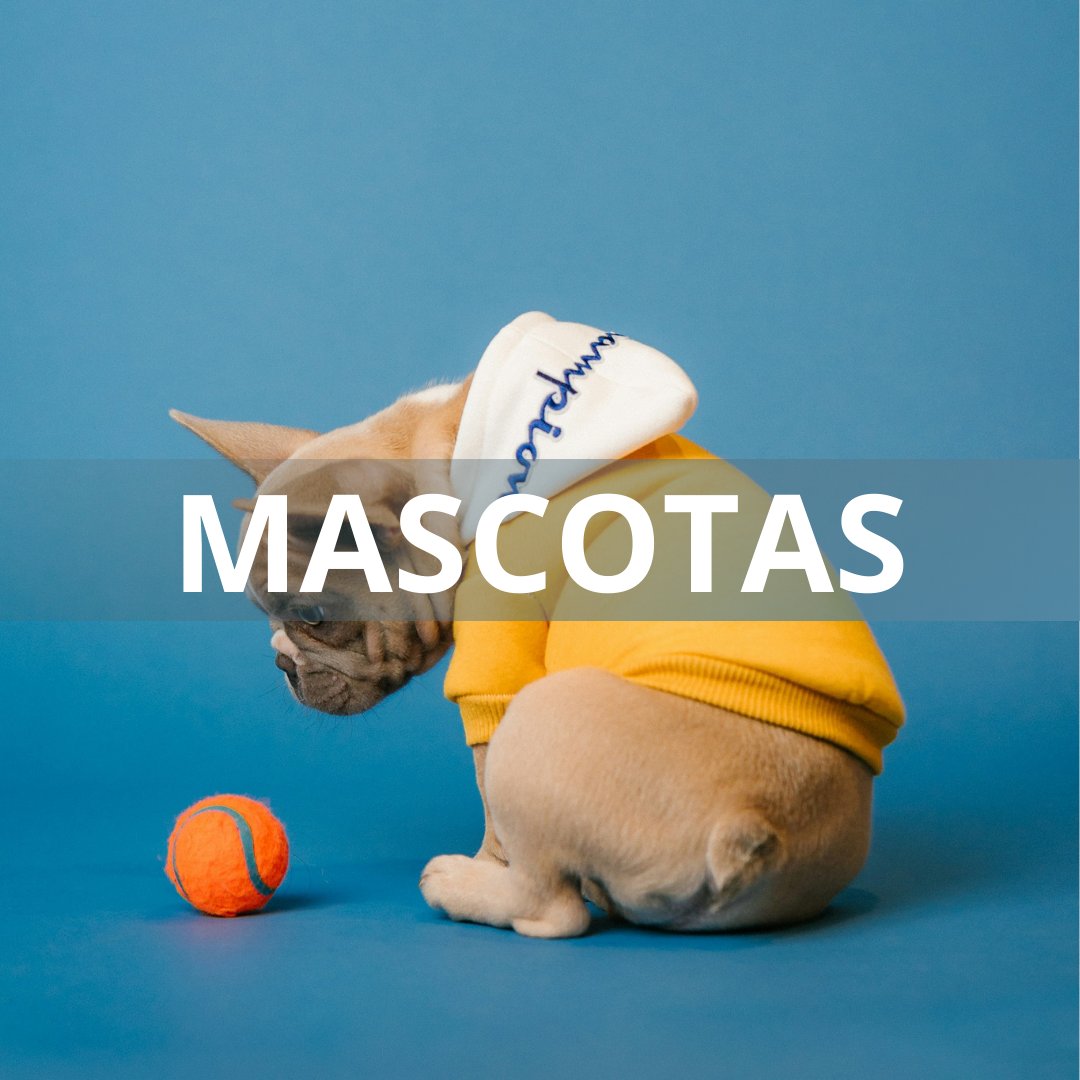 Mascotas